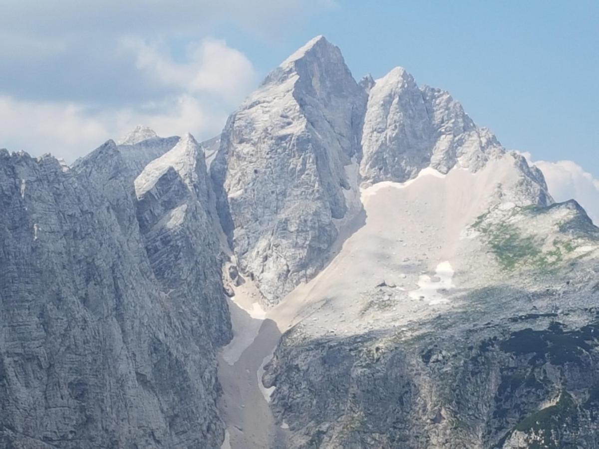 Jm Alpine Apartma Kranjska Gora
