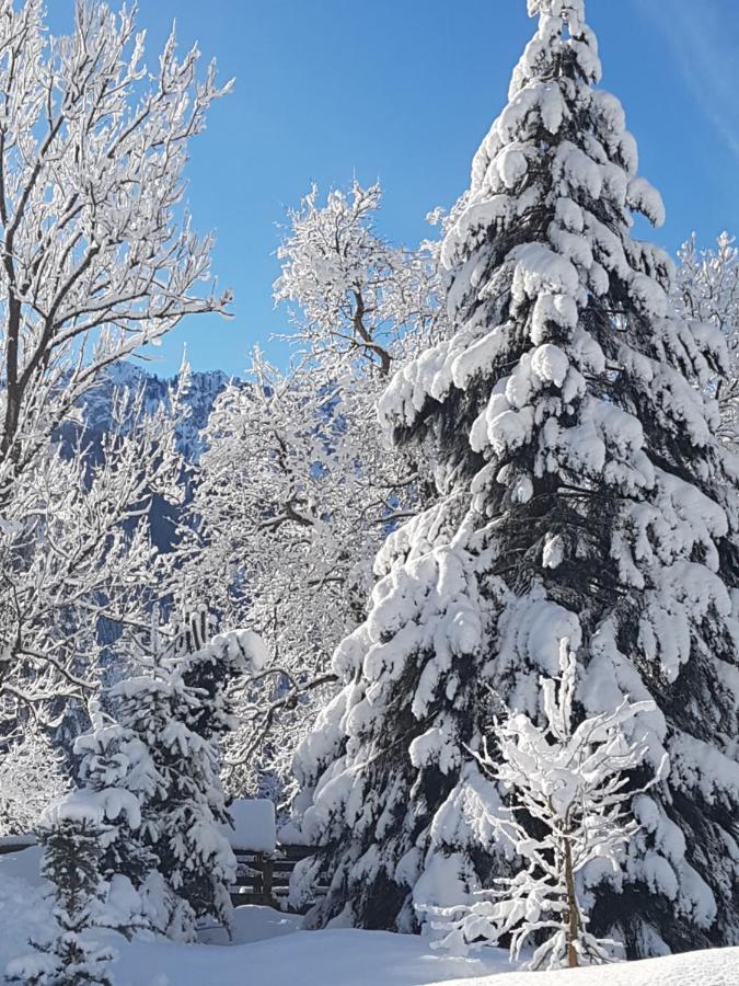 Apartment Jm Alpine Kranjska Gora